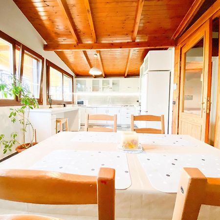 Tirana Experience, Authentic Stays In The Heart Of Old Tirana Buitenkant foto